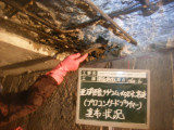 ̹ƻ泰ƻϩݻ̳ϩˡʤΣˡåϥӥ깩ˡ