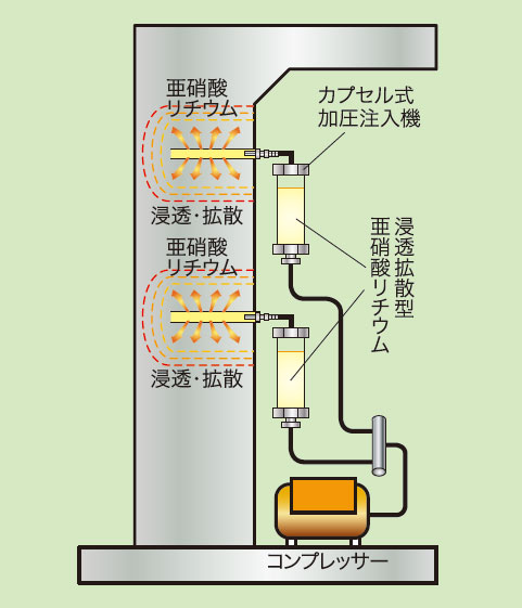 ˡǰ | ʰ׷ⰵåϥӥꥫץ빩ˡ (NETISCG-120005-VR)