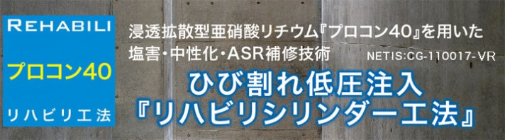ƩȻ˻إץ40٤ѤASR佤 | Ҥӳ㰵 ϥӥꥷˡ