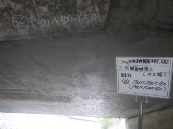 川口橋橋りょう長寿命化修繕工事及び中通洲元 写真01